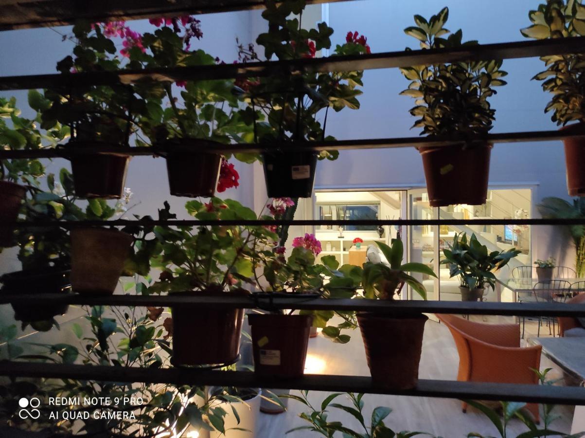 Habitacion Y Bano En Planta Independiente En Centro De Sevilla Экстерьер фото